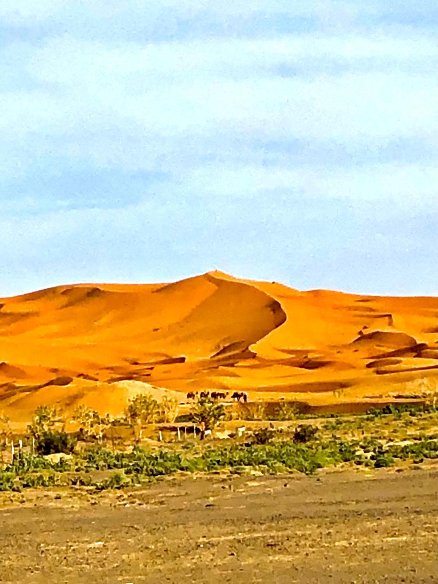 Bivouac La Fibule Des Dunes Merzouga Ngoại thất bức ảnh